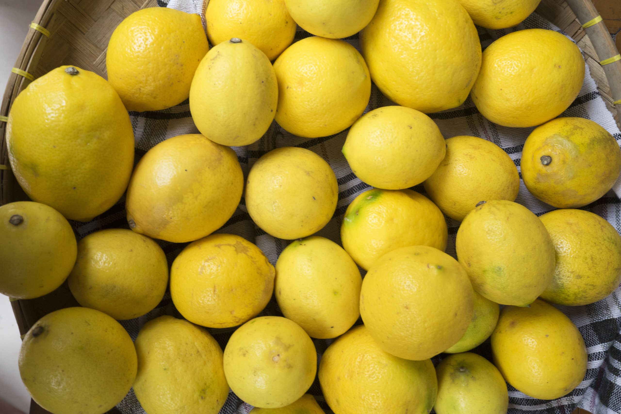 lemon lokal supplyyuk