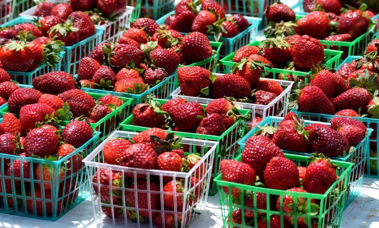 Harga Sayur Dan Buah Di Pantaihurip Babelan