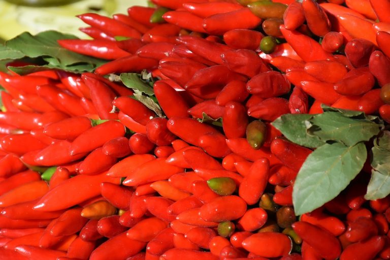 Supplier Sayuran Dan Buah Di Muktiwari Cibitung