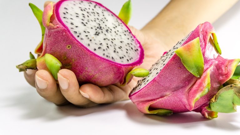 Agen Sayur Dan Buah Terdekat Di Sukabungah Bojongmangu