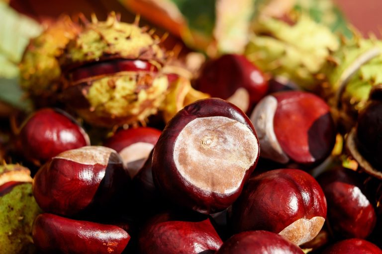 Lokasi Penjual Sayur Dan Buah Di Tamansari Setu