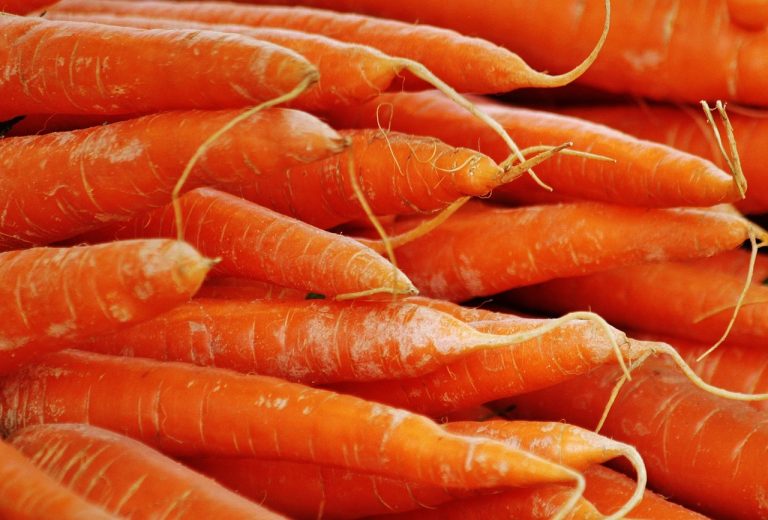 Supplier Sayur Di Jati Cibarusah