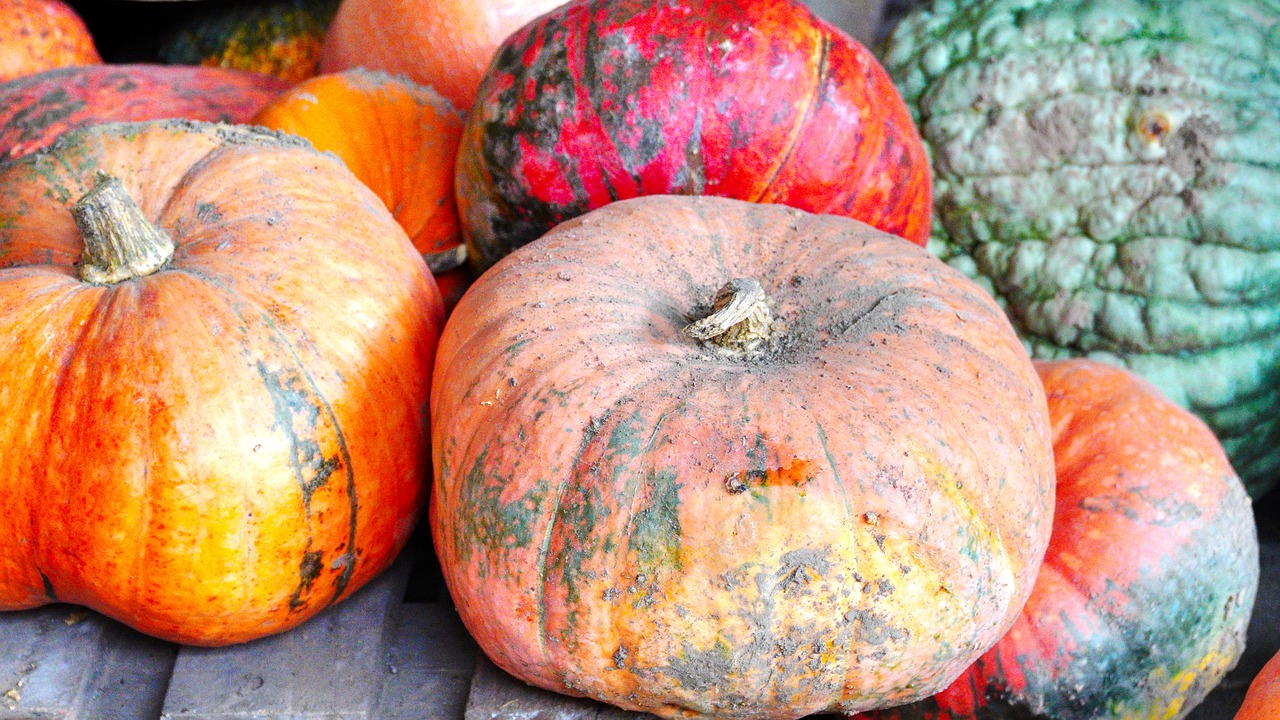 Tempat Jual Sayuran Dan Buah Terdekat Di Karangasih Cikarang Utara