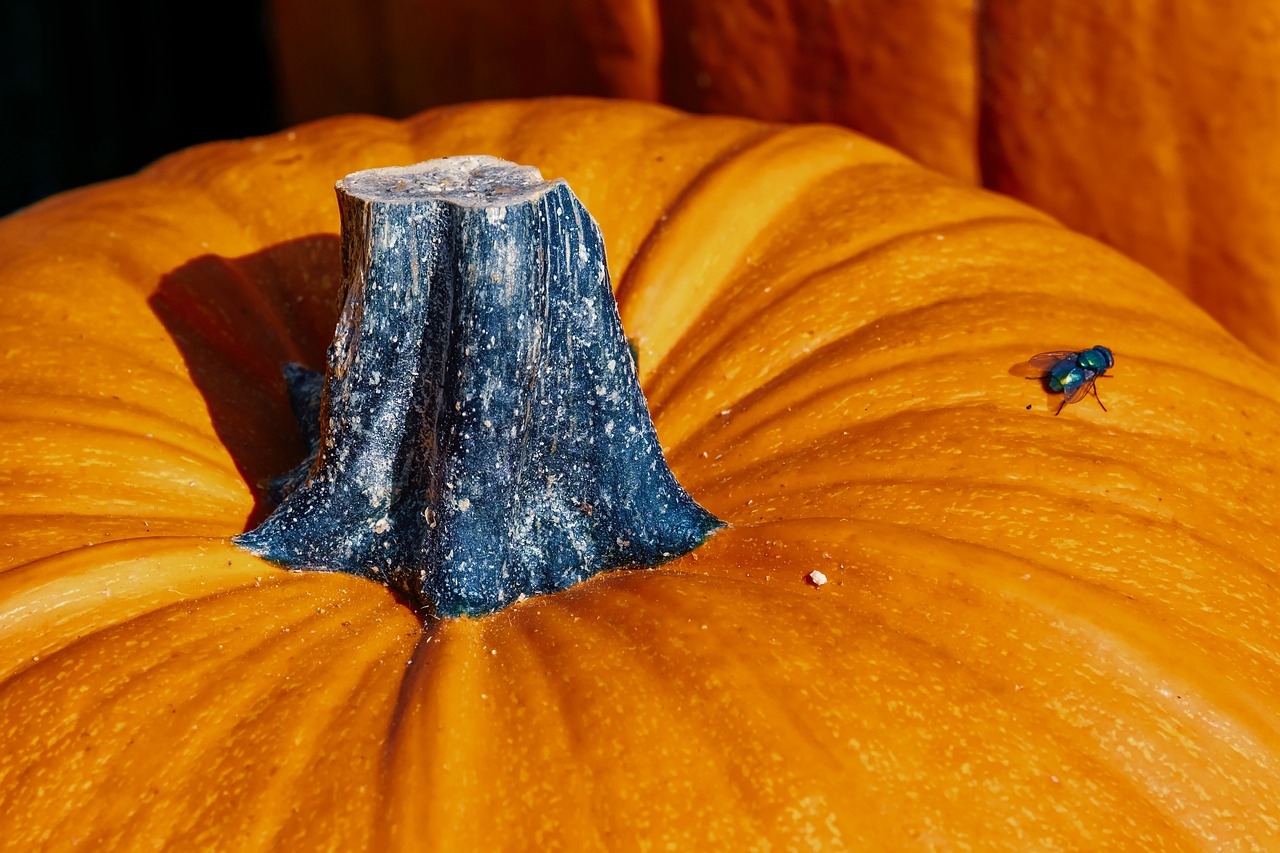 Lokasi Penjual Sayuran Dan Buah Terdekat Di Karangreja Pebayuran, Simpangan Cikarang Utara Bekasi 6 Lokasi Penjual Sayuran Dan Buah Terdekat Di Karangreja Pebayuran