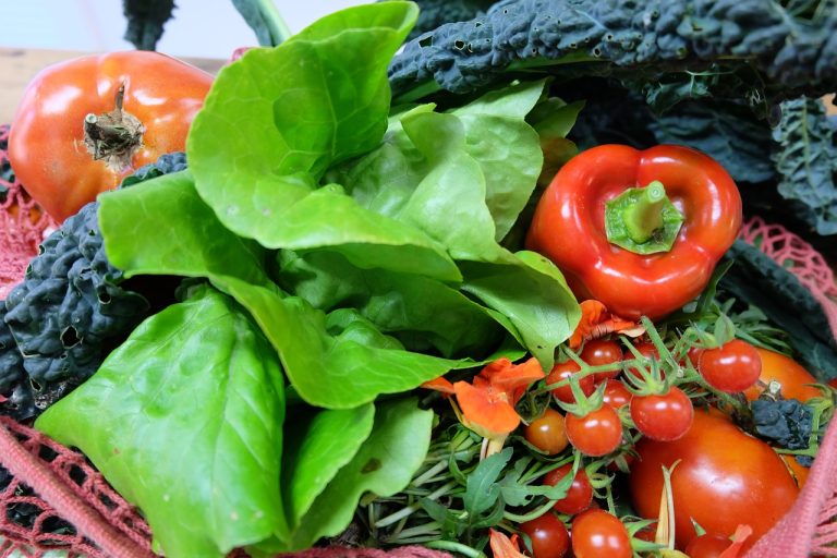 Supplier Sayuran Dan Buah Di Muktiwari Cibitung