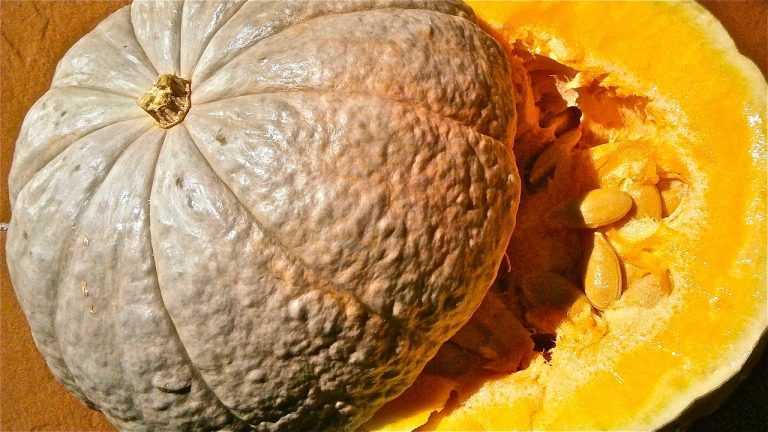 Supplier Sayuran Dan Buah Terdekat Di Sumberurip Pebayuran
