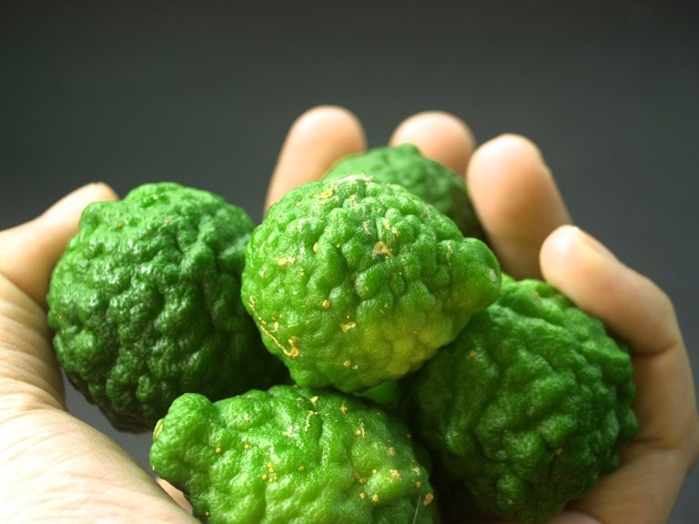 Agen Sayuran Dan Buah Di Jayabakti Cabang Bungin