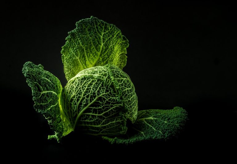 Jual Sayur  Di Sukajaya Cibitung