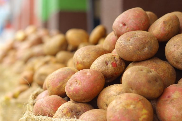 Perusahaan Sayur Di Hegarmukti Cikarang Pusat