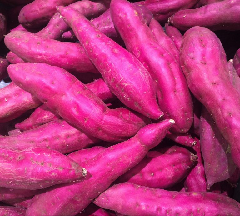 Jual Sayur  Di Srimukti Tambun Selatan