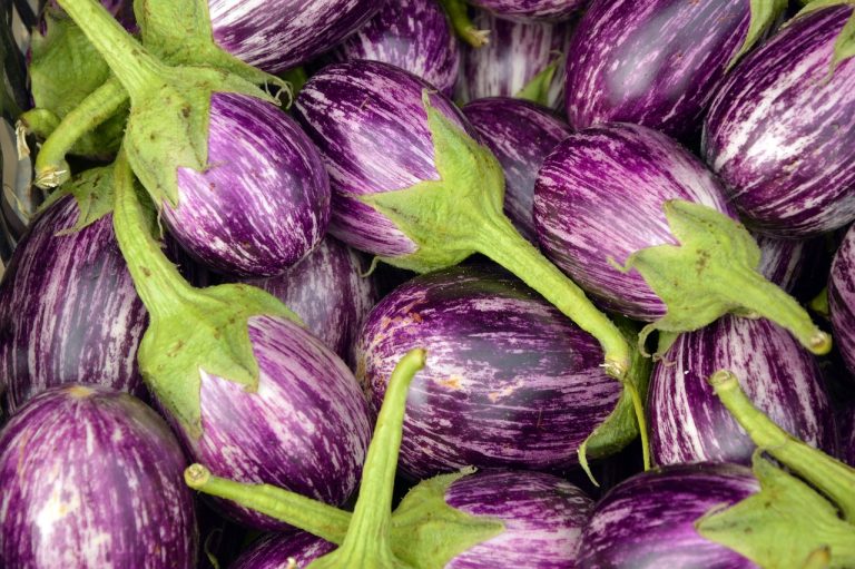 Harga Sayuran Dan Buah Di Bojongmangu