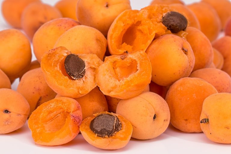 Pemasok Sayur Dan Buah Di Sukamakmur Sukakarya