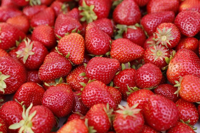 Toko Sayur Dan Buah Terdekat Di Sukamulya Sukatani