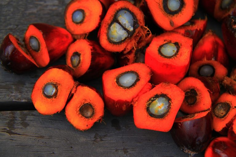 Distributor Sayuran Dan Buah Terdekat Di Sukakarsa Sukakarya