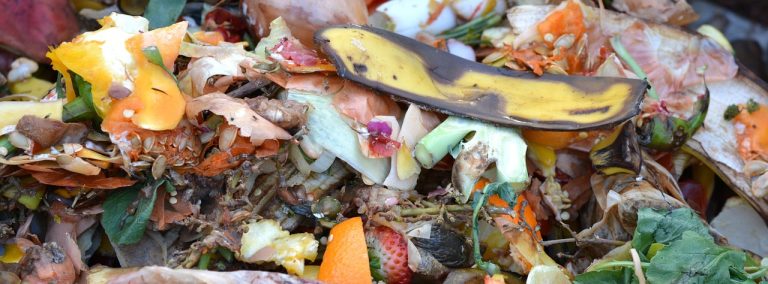 Jual Sayur  Di Sukajaya Cibitung