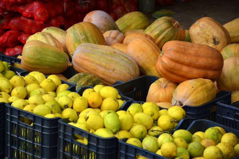 Pemasok Sayur Dan Buah Terdekat Di Wangunharja Cikarang Utara