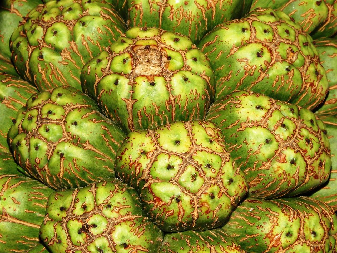 Grosir Sayuran Dan Buah Terdekat Di Lebansari Cikarang Timur