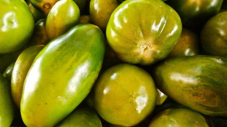 Harga Sayuran Dan Buah Terdekat Di Karangindah Bojongmangu