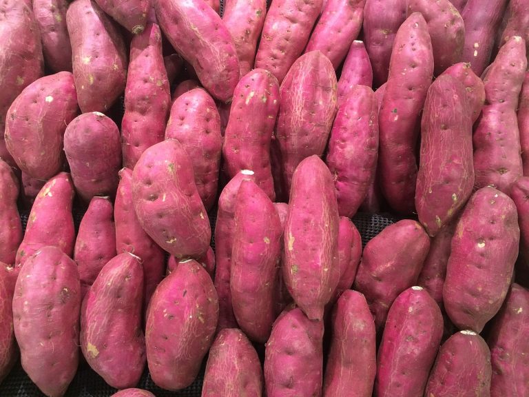 Jual Sayuran Dan Buah Di Samudrajaya Tarumajaya