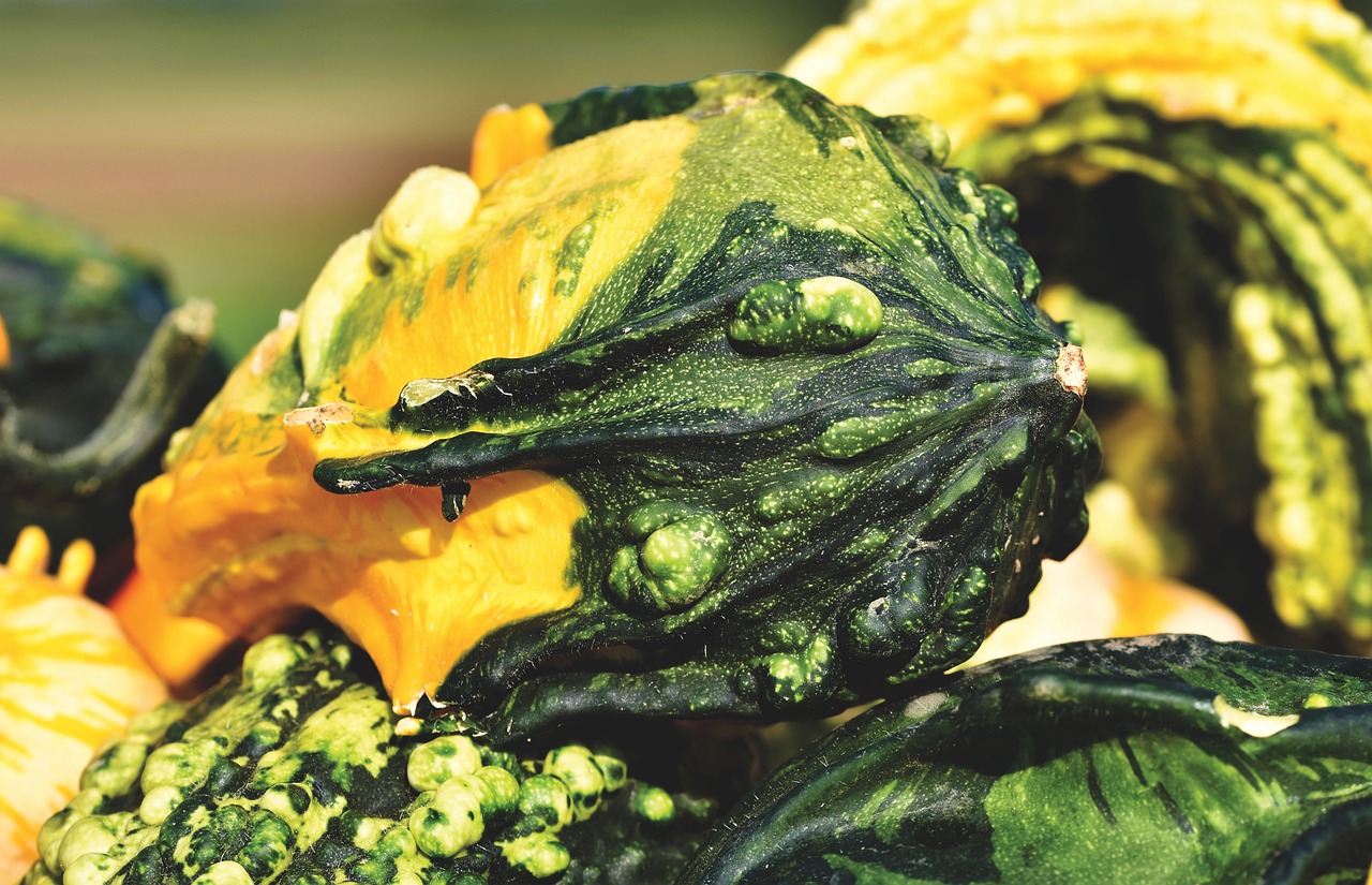 Lokasi Penjual Sayuran Dan Buah Terdekat Di Karangreja Pebayuran, Sertajaya Cikarang Timur Bekasi 1 Lokasi Penjual Sayuran Dan Buah Terdekat Di Karangreja Pebayuran