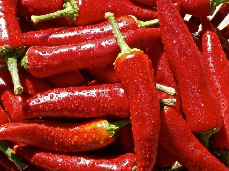 Distributor Sayur Dan Buah Di Tridayasakti Tambun Selatan