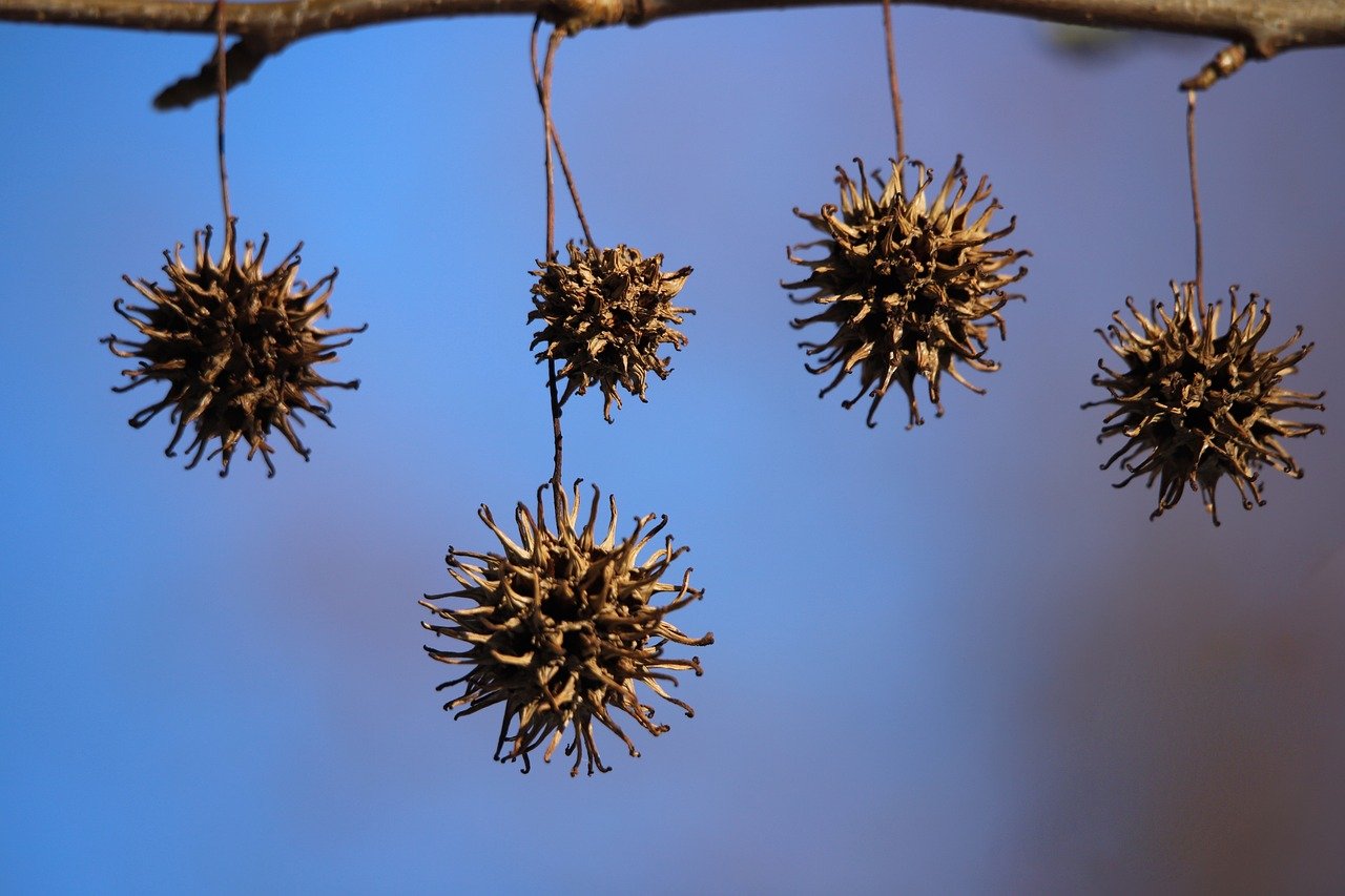Harga Sayur Dan Buah Di Karangmekar Kedungwaringin, Bento Setiamekar Tambun Selatan Bekasi 1 Harga Sayur Dan Buah Di Karangmekar Kedungwaringin