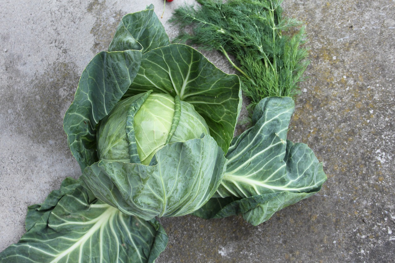 Harga Sayuran Dan Buah Terdekat Di Waringinjaya Kedungwaringin