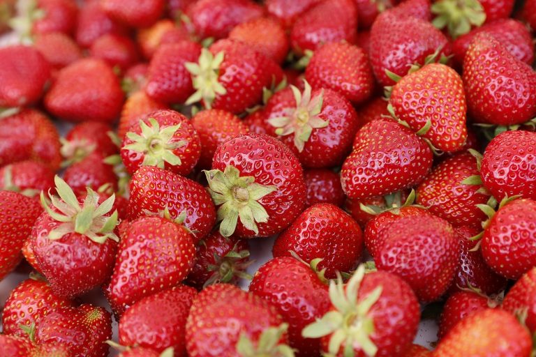 Jual Sayur Dan Buah Terdekat Di Sindangjaya Cabang Bungin