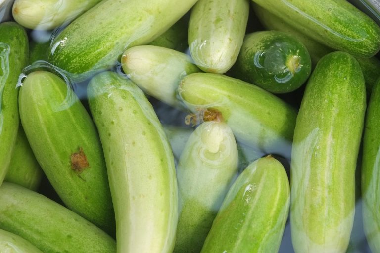 Jual Sayuran Dan Buah Terdekat Di Nagasari Serang Baru
