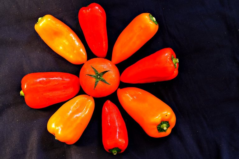 Pemasok Sayuran Dan Buah Terdekat Di Sukadarma Sukatani