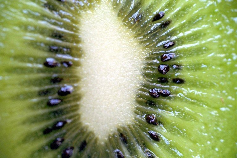 Pemasok Sayuran Dan Buah Terdekat Di Sukadarma Sukatani