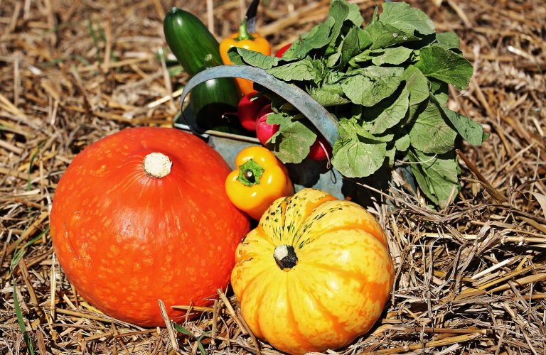 Perusahaan Sayur Dan Buah  Di Cicau Cikarang Pusat