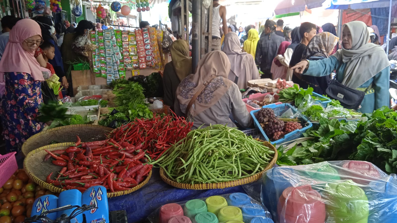 Temukan Agen Sayur di Grand Wisata Supplyyuk, Solusi Terpercaya untuk Sayur dan Buah Segar! 1 agen sayur di grand wisata